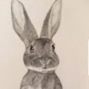 Meet your Posher, Darcie